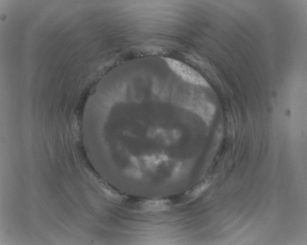 X0000076300465200610271918