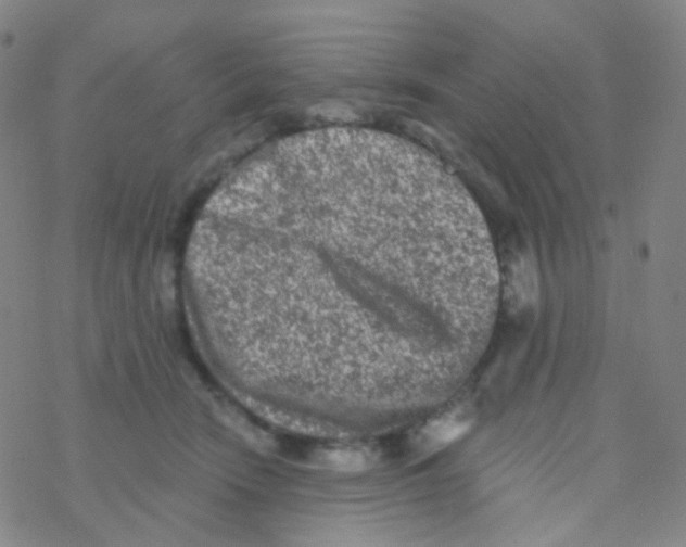 X0000076300466200610271918