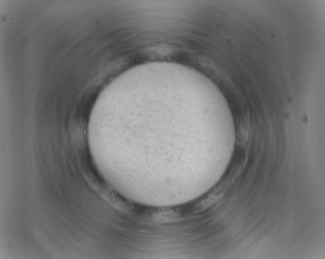 X0000076300468200610271918