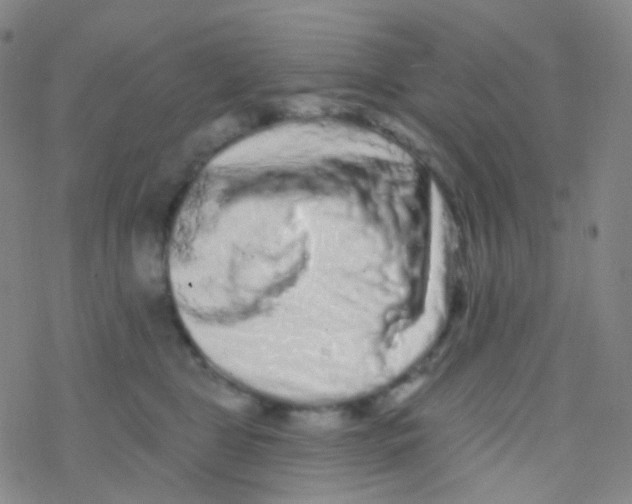 X0000076300469200610271919