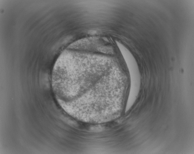 X0000076300470200610271919