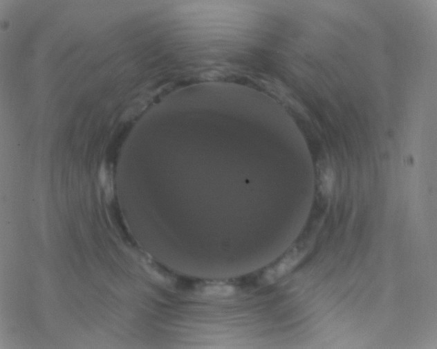 X0000076300471200610271919