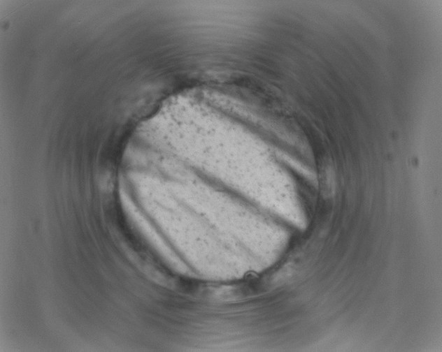 X0000076300472200610271919