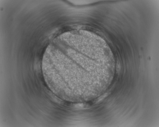 X0000076300473200610271919