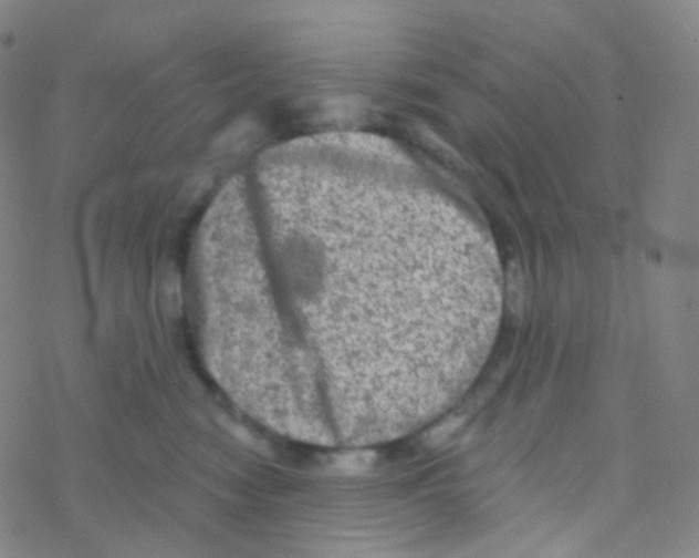 X0000076300474200610271919