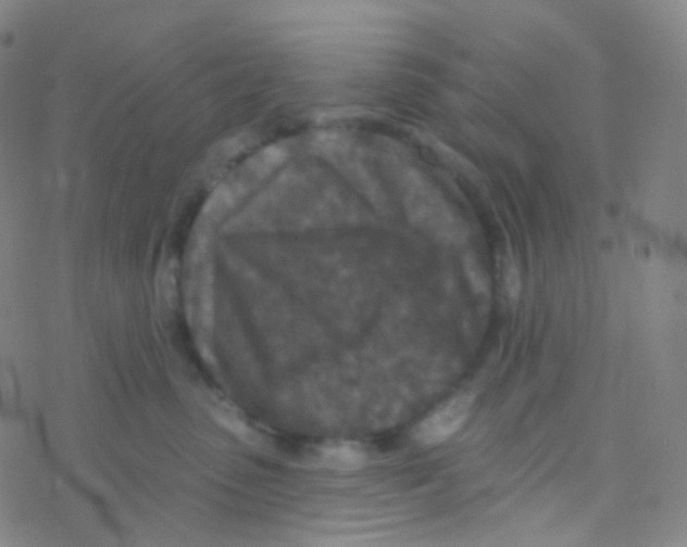 X0000076300475200610271919