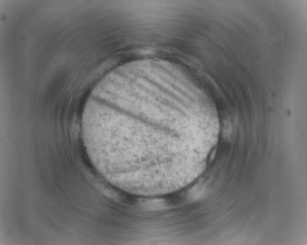 X0000076300476200610271919