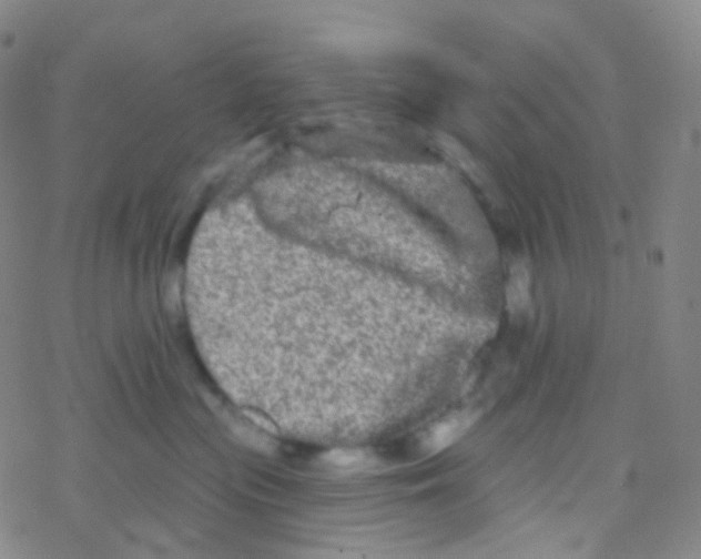 X0000076300477200610271919