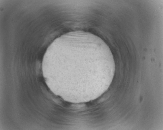 X0000076300480200610271919