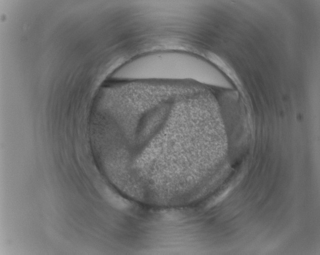 X0000076300481200610271918