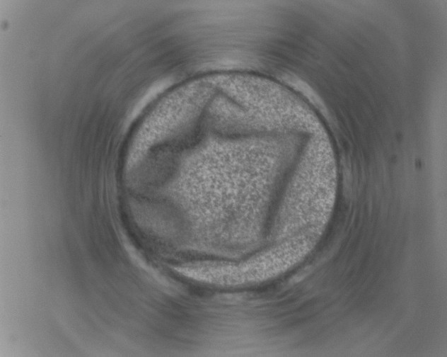 X0000076300482200610271918