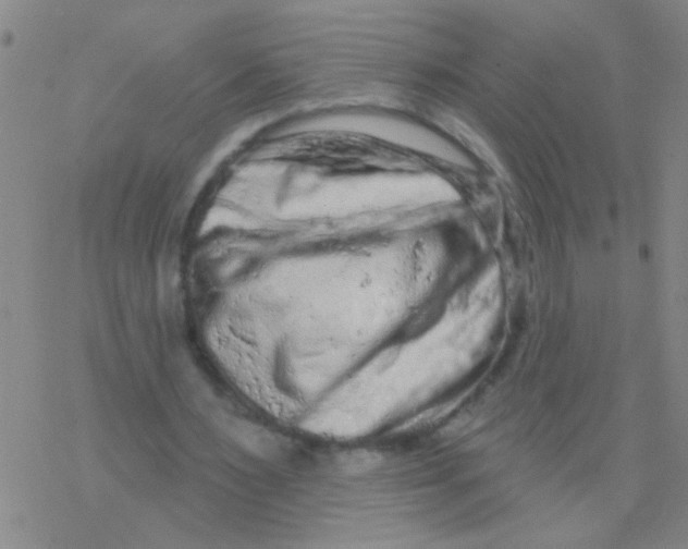 X0000076300483200610271918