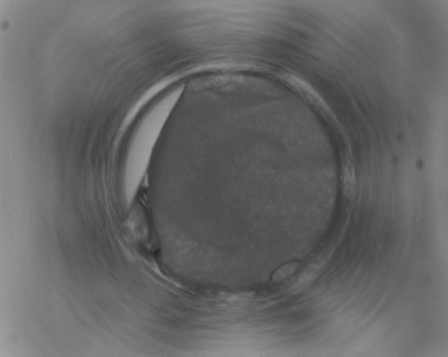 X0000076300484200610271918