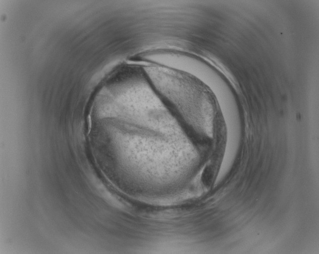 X0000076300485200610271918