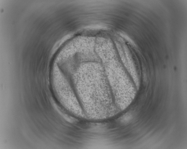 X0000076300486200610271918