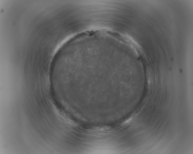 X0000076300488200610271918