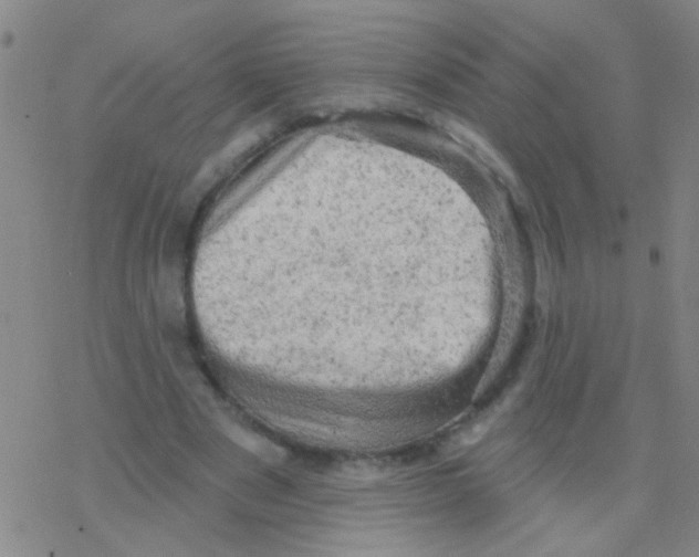 X0000076300489200610271918