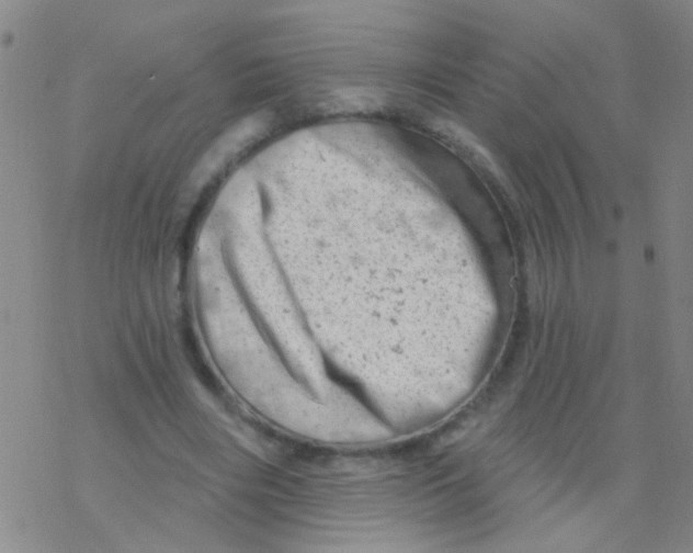 X0000076300490200610271918