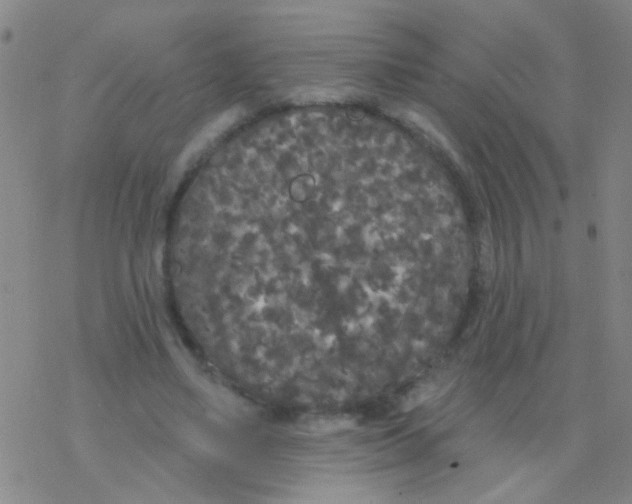 X0000076300491200610271918