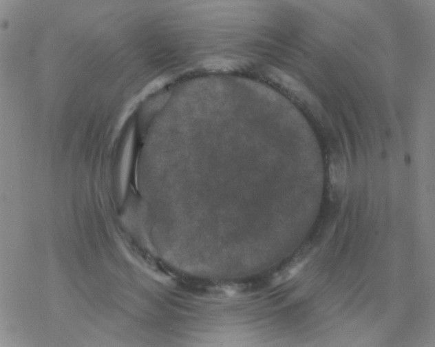 X0000076300492200610271918