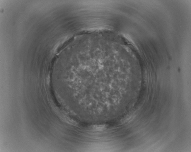 X0000076300495200610271918