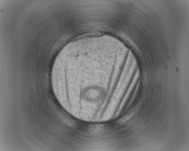 X0000076300497200610271918