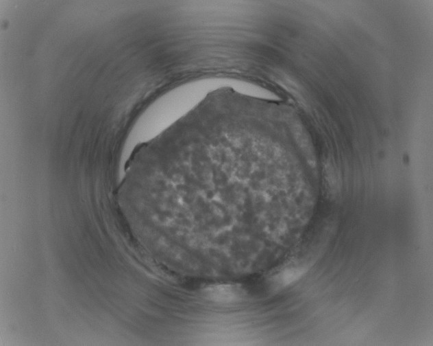 X0000076300499200610271918