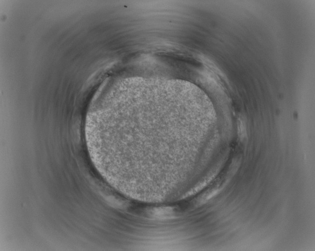 X0000076300501200610271918