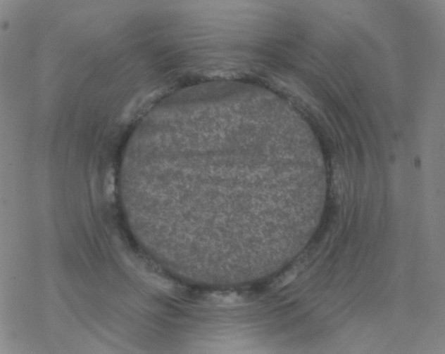 X0000076300502200610271918