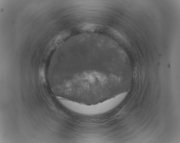 X0000076300504200610271918