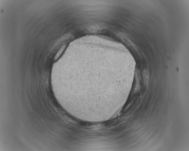 X0000076300505200610271918