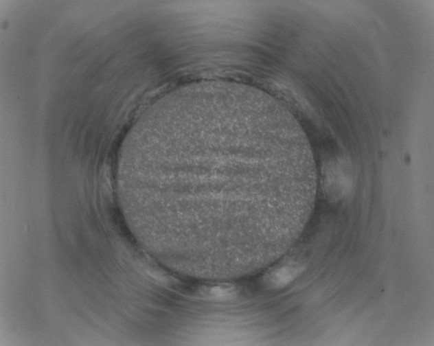 X0000076300506200610271917