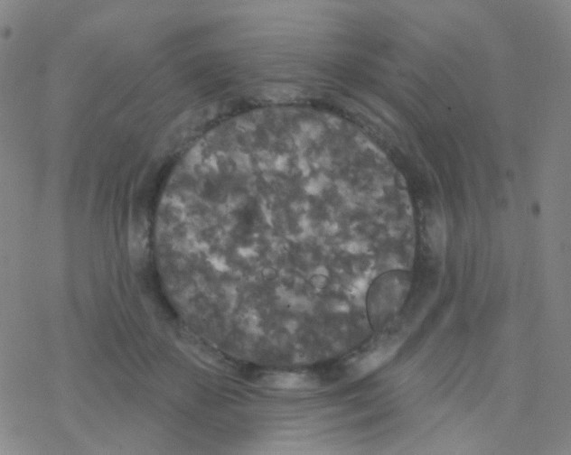 X0000076300507200610271917