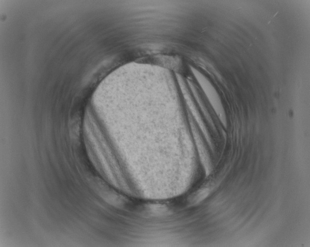 X0000076300509200610271917