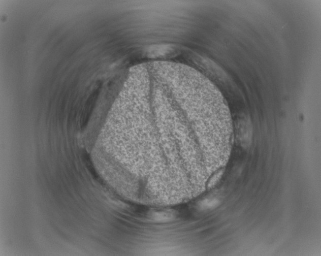 X0000076300510200610271917