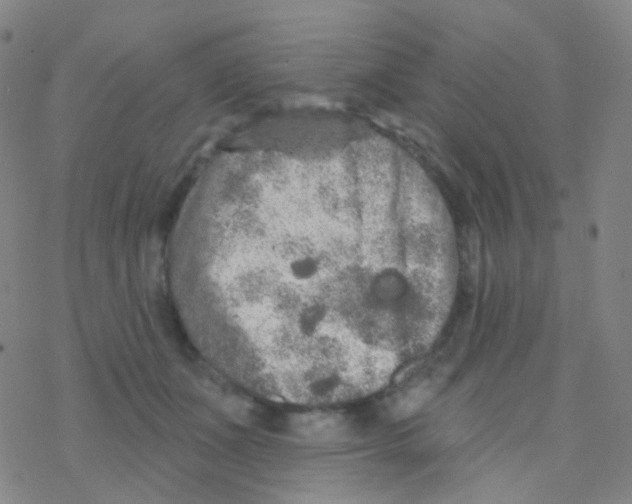 X0000076300511200610271917