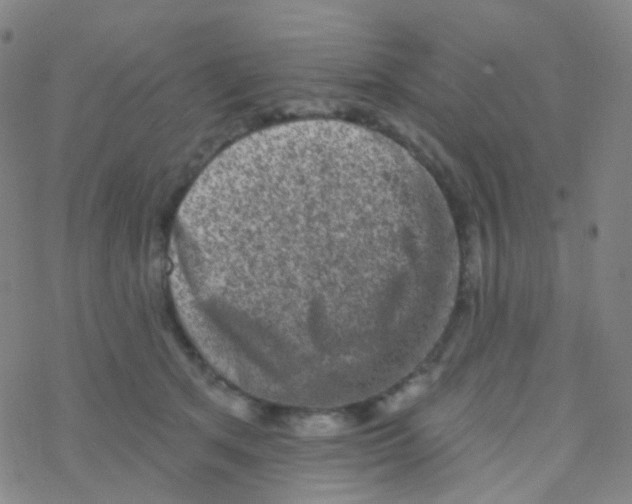 X0000076300513200610271917