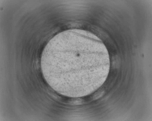 X0000076300514200610271917