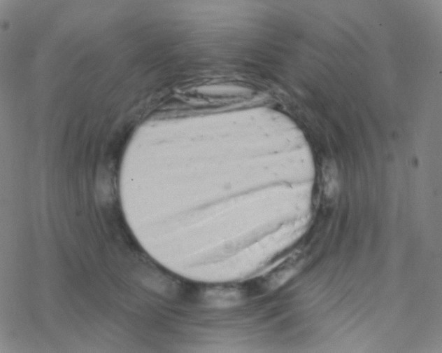 X0000076300515200610271917