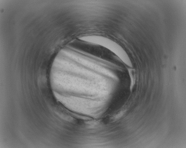 X0000076300516200610271917