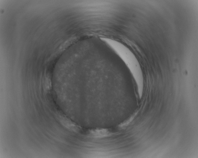 X0000076300517200610271917