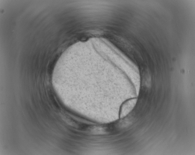 X0000076300518200610271917