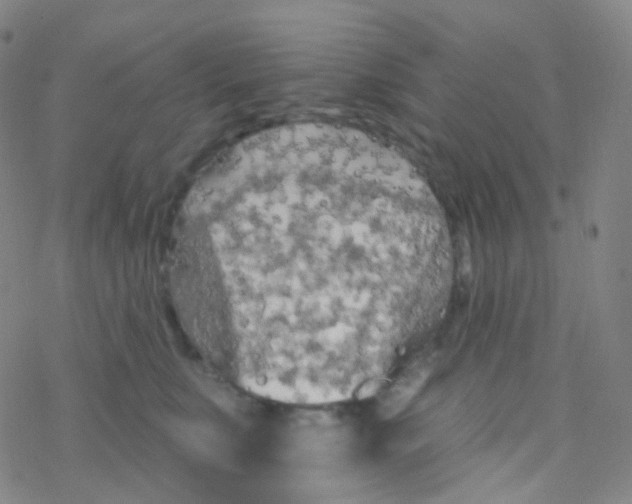 X0000076300519200610271917