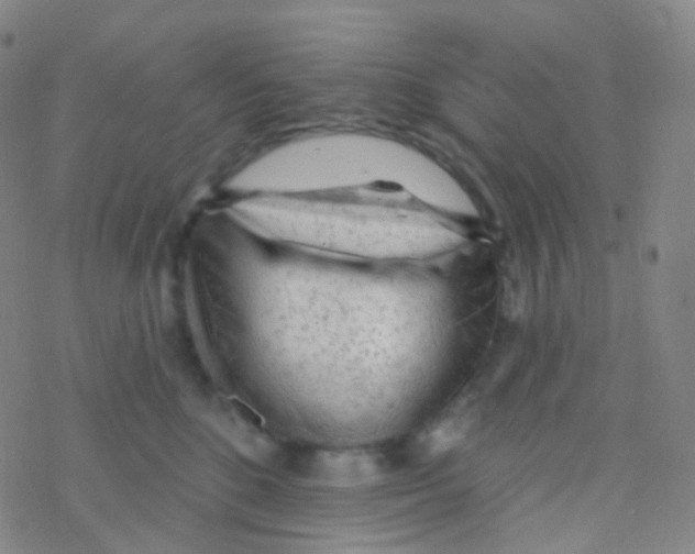 X0000076300520200610271917