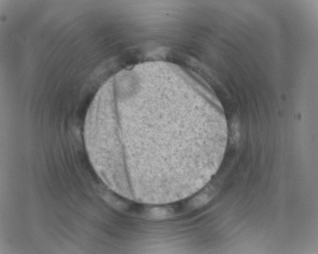 X0000076300522200610271917