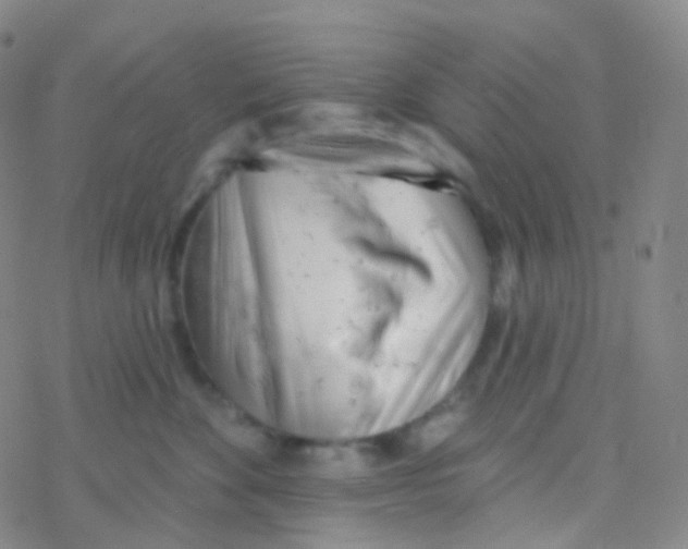 X0000076300524200610271917