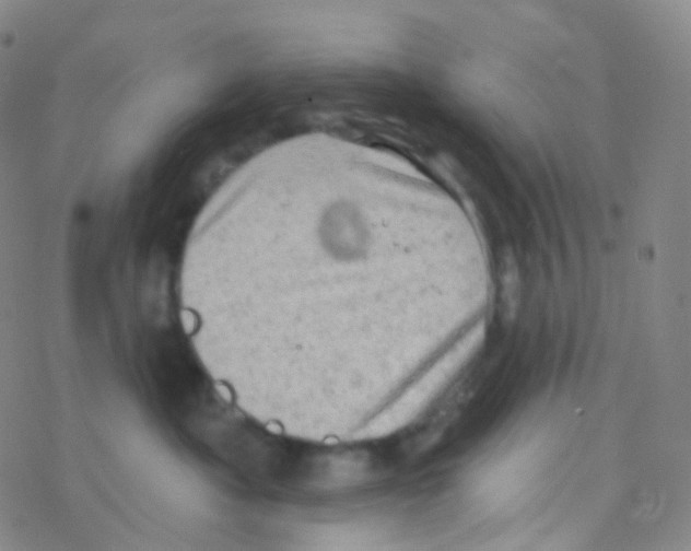 X0000076300525200610271917