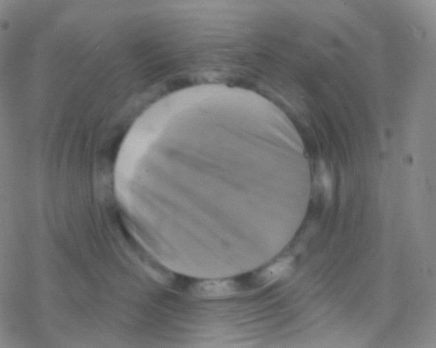 X0000076300526200610271917