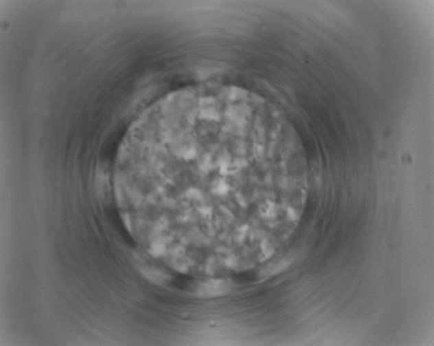 X0000076300527200610271917