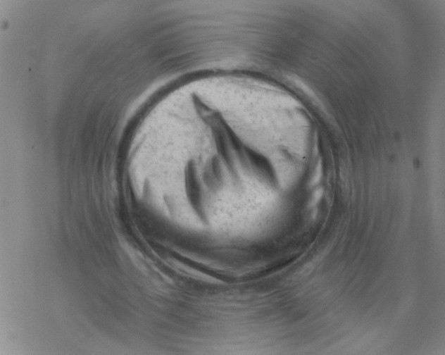 X0000076300532200610271916